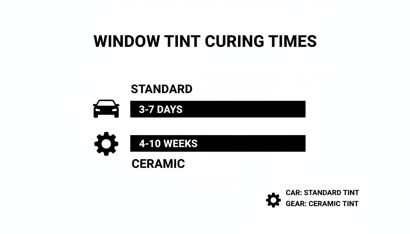 Infographic showing window tint curing times: Standard tint takes 3-7 days, while Ceramic tint requires 4-10 weeks.
