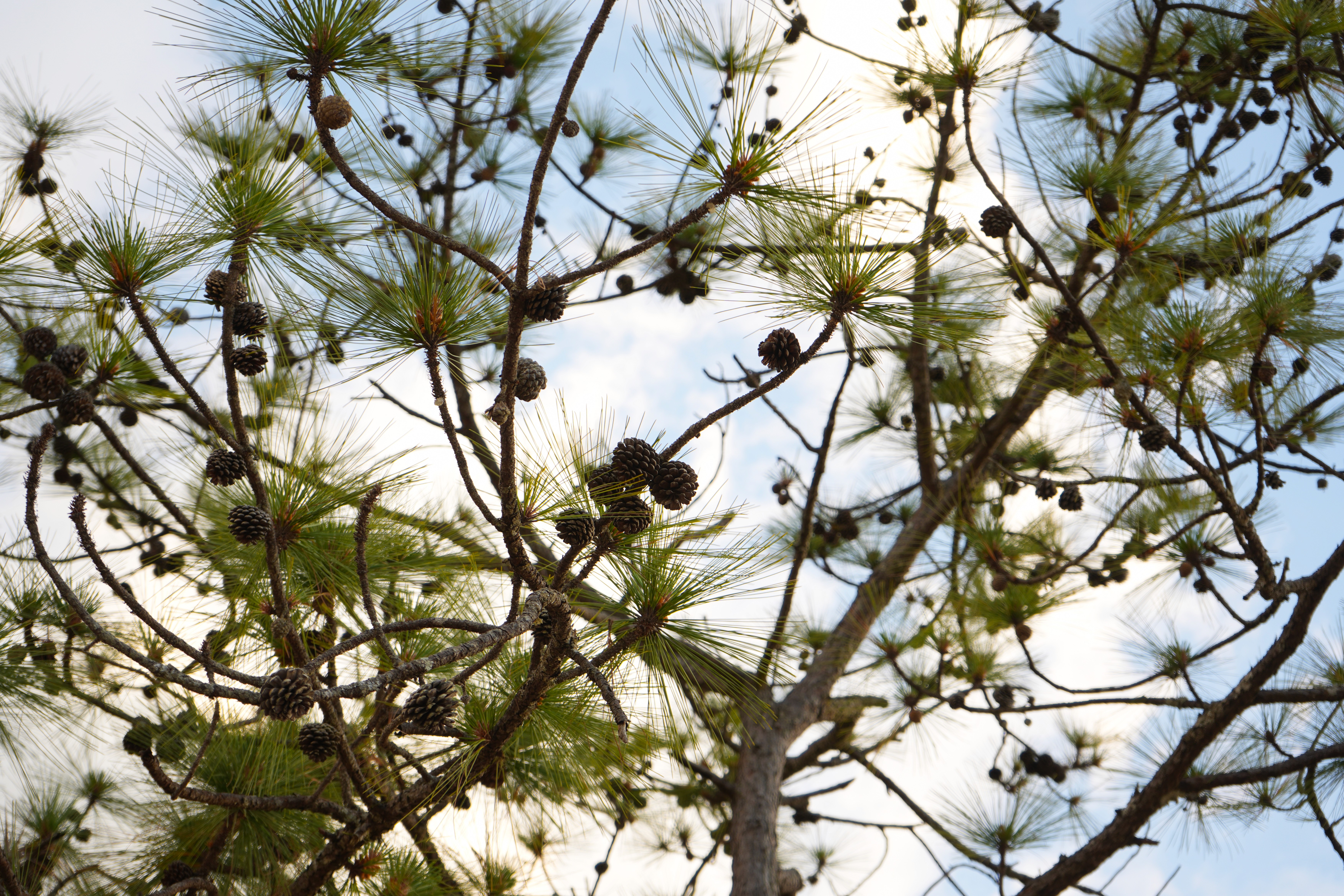 cozy interior with fireplace and candles