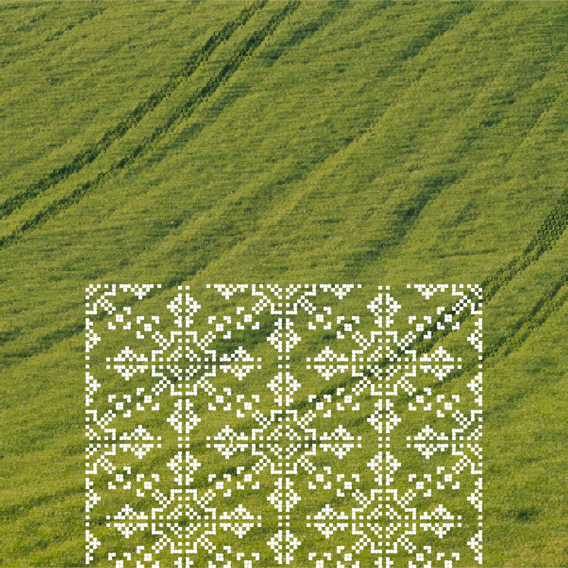 A vast field of lush green crops with geometric patterns overlaid on the image, creating a contrast between nature and design.
