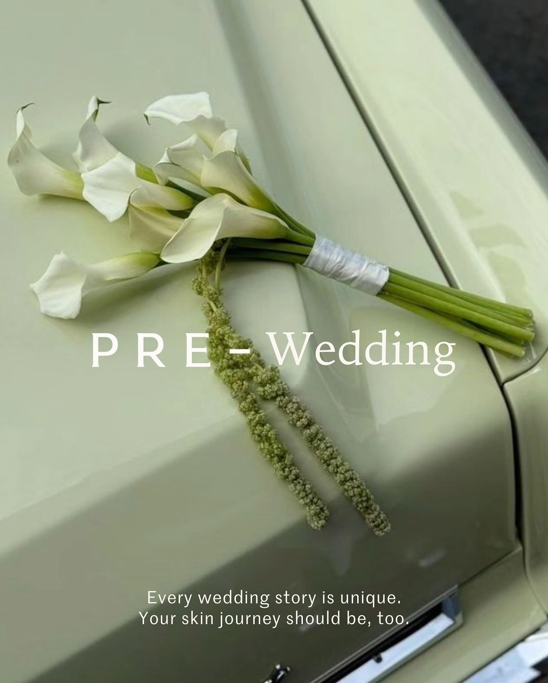 PRE — campaign image 2