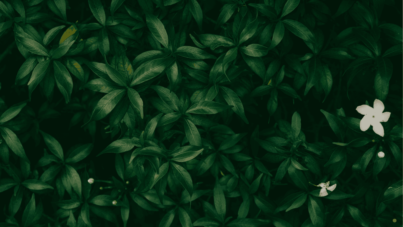 Action shot of a tennis player sprinting across a blue hard court with dramatic motion blur.