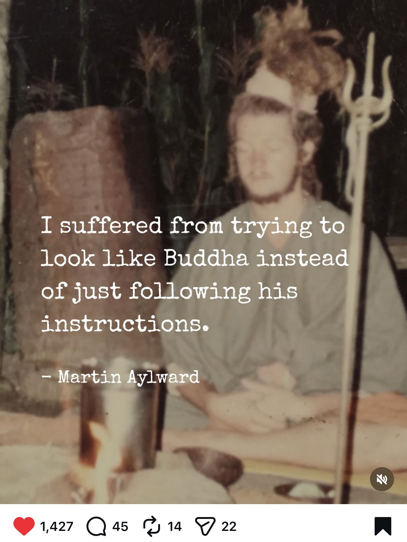 A sleek, green chair with a curved seat and wooden legs, set against a dark green background.