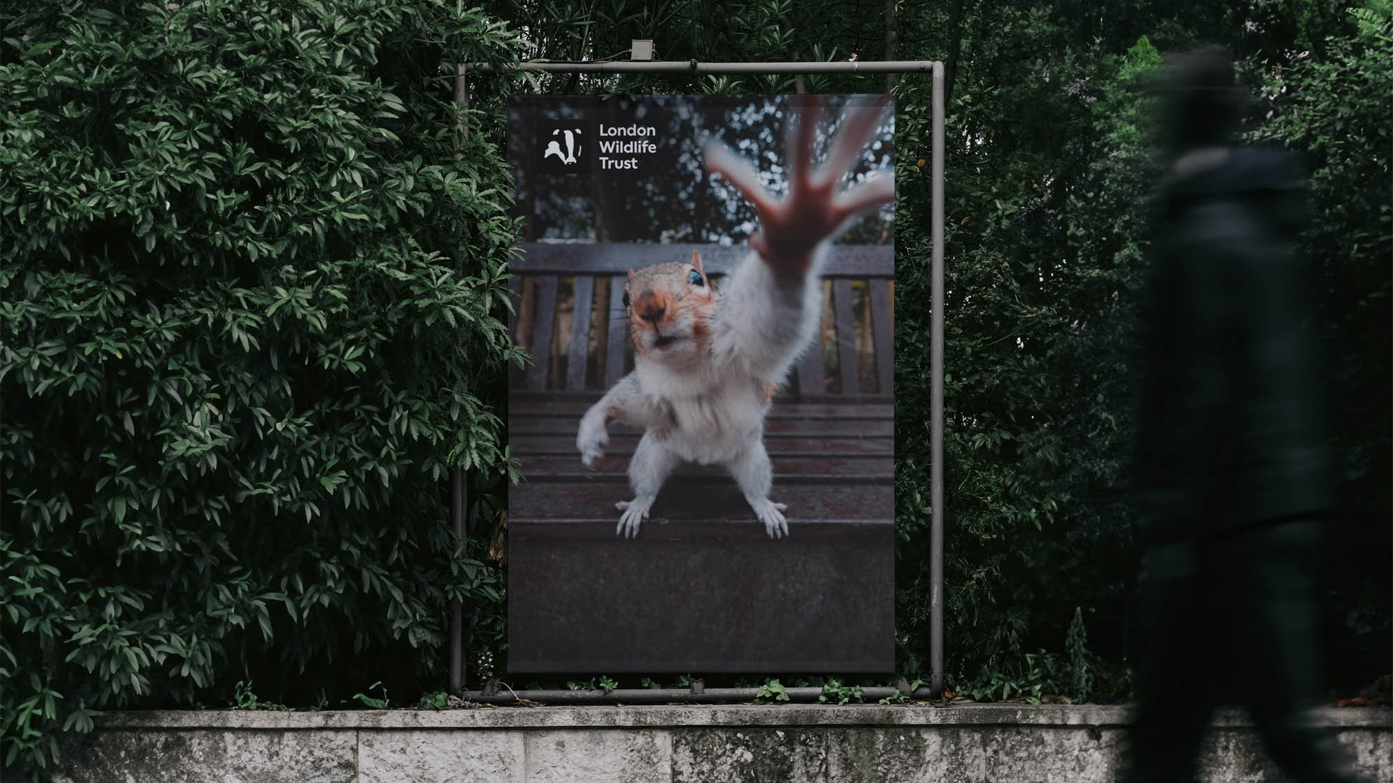 tipota design studio with peace cabin - new art direction and behaviour for london wildlife trust logo