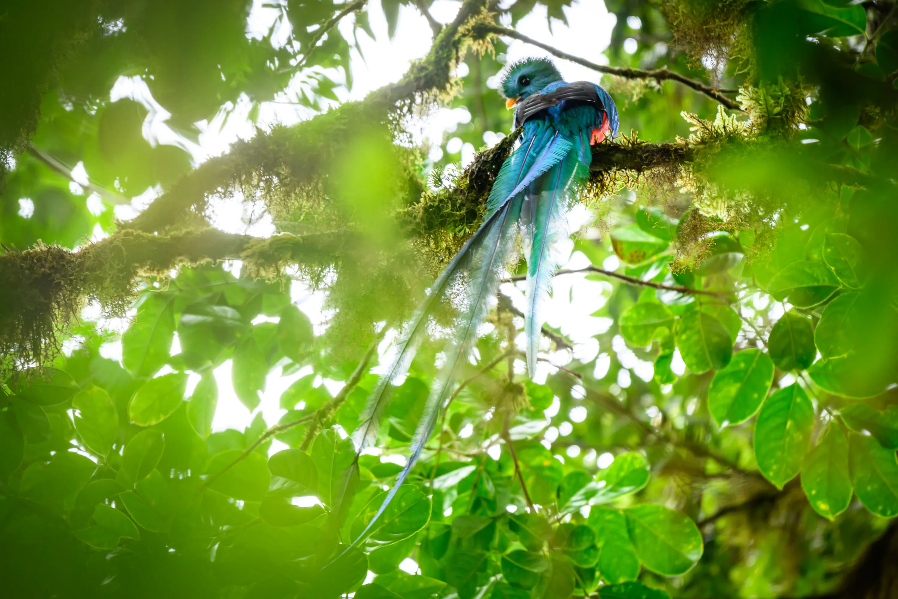 Wilderness & Wildlife 08