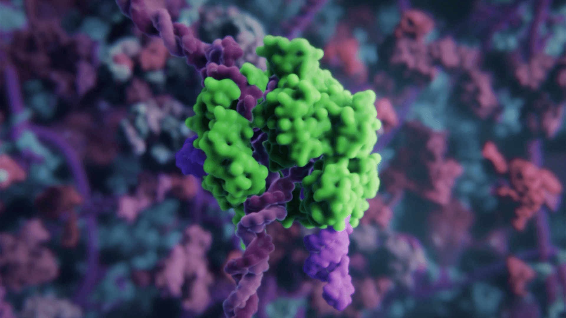 Native Cas9 effector