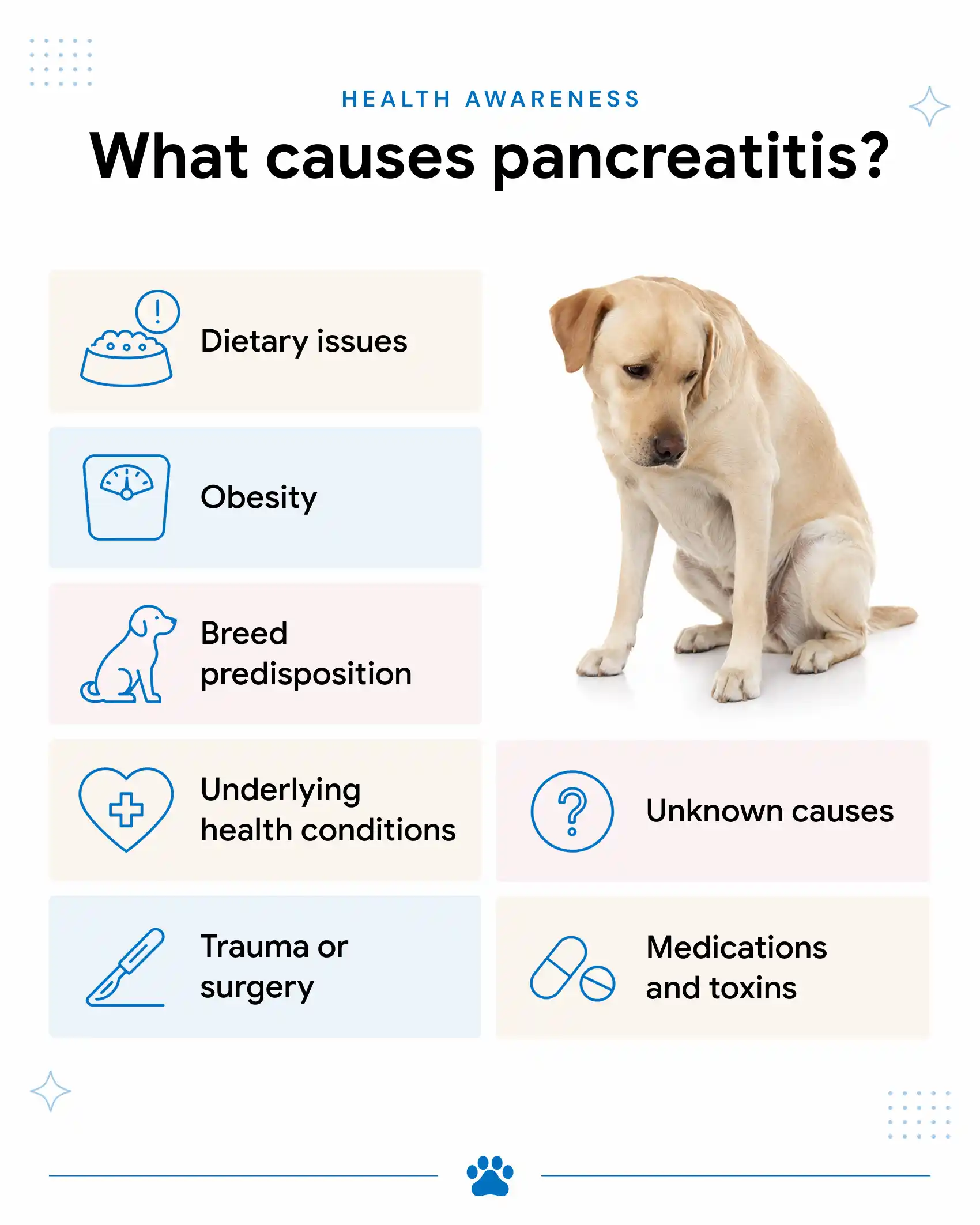 An infographic showing the causes of pancreatitis in dogs.
