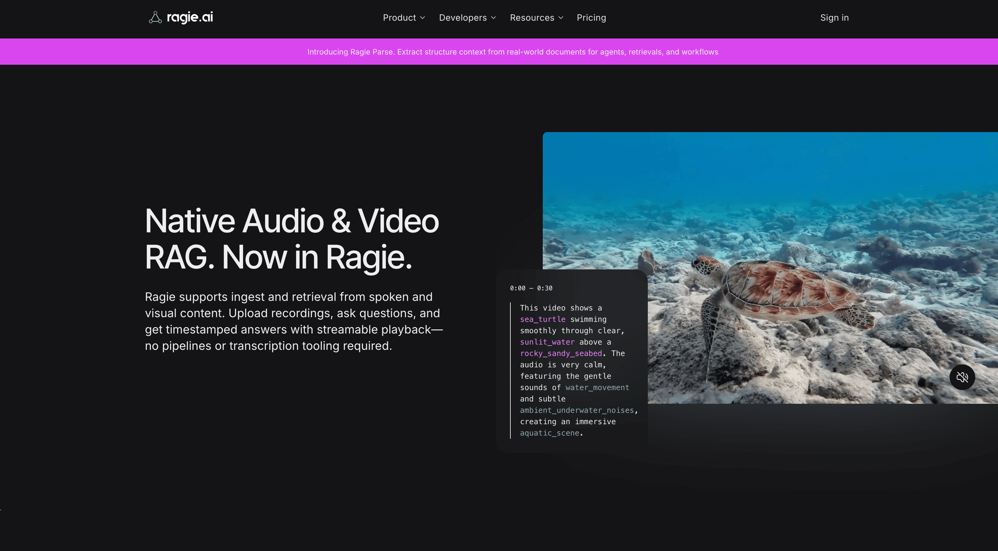 Ragie.ai - Multimodal RAG