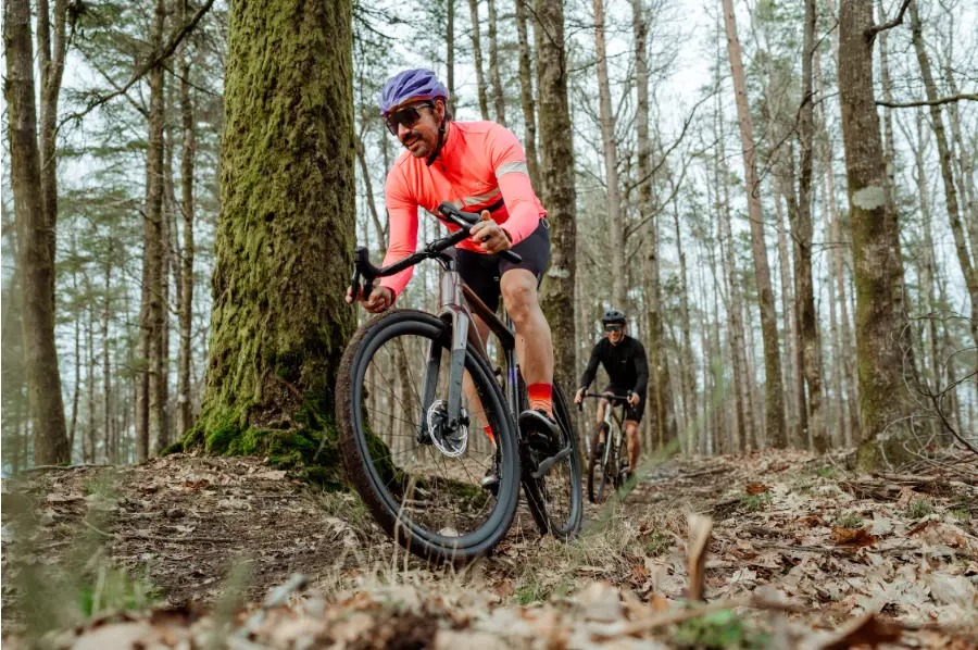 a person riding a bicycle on a road with trees on either side
