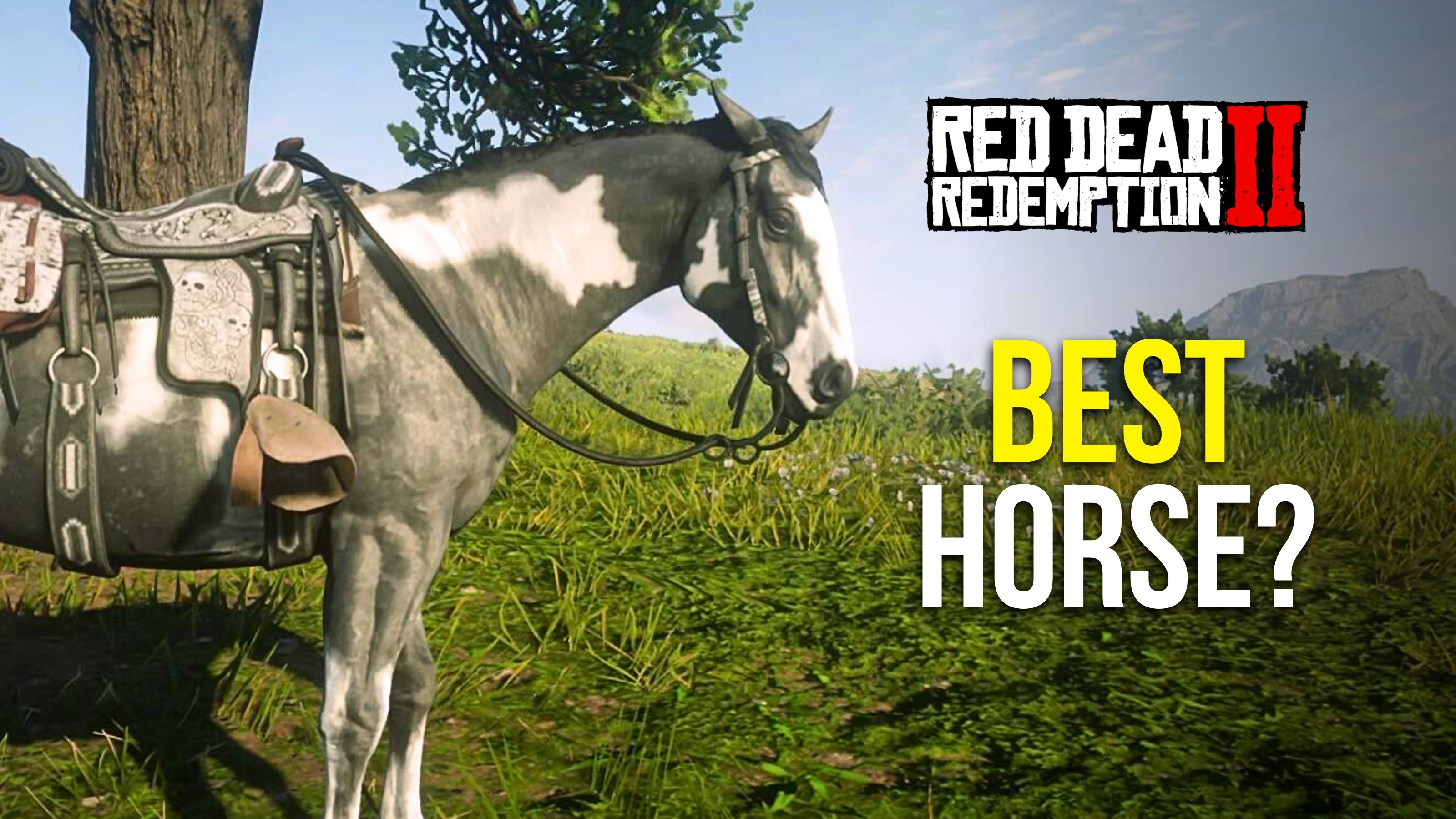 Van der Linde gang horses, best RDR2 horses, RDR2 horse guide, RDR2 gang horses, RDR2 Van der Linde horses, best horses in Red Dead Redemption 2, RDR2 best horse comparison, RDR2 Micah horse Baylock, RDR2 Dutch horse The Count, RDR2 Hosea horse Silver Dollar, RDR2 Bill horse Brown Jack, Missouri Fox Trotter RDR2, Arabian horse RDR2, Turkoman horse RDR2, Ardennes horse RDR2, strongest horses in RDR2, fastest horses in RDR2, RDR2 horse breeds explained, RDR2 horse stats, RDR2 best companion horses, RDR2 horse ranking, RDR2 best gang member horse, Red Dead Redemption 2 horse list, RDR2 story horses, RDR2 horse personalities, RDR2 rare horses, RDR2 horse analysis, RDR2 horse performance, RDR2 horse speed comparison, RDR2 war horses, RDR2 elite horses, RDR2 horse lovers guide, who has the best horse in RDR2, Van der Linde gang best horse, RDR2 cinematic horses, RDR2 lore horses, RDR2 horse fan guide, RDR2 top horses, RDR2 horse tier list, RDR2 iconic horses