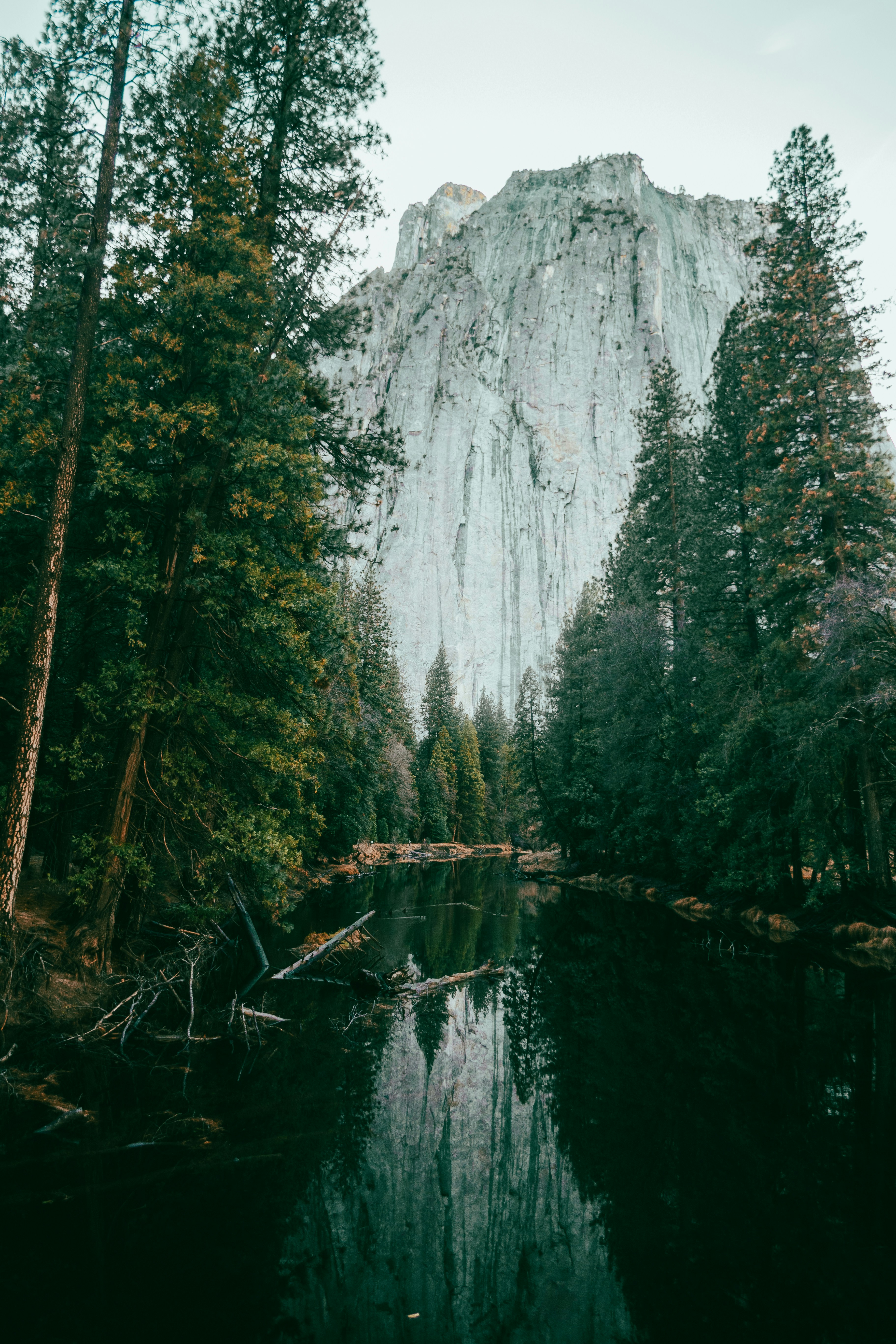 A lake surrounded by trees and a mountain