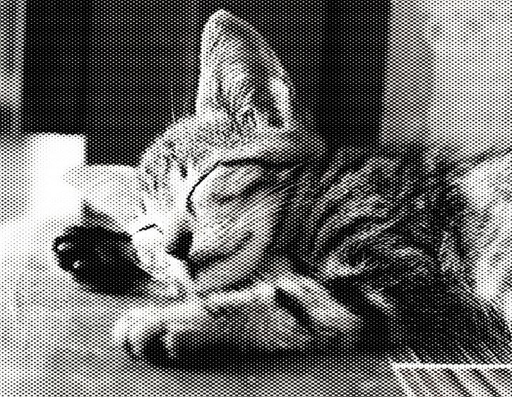 man riding a bicycle