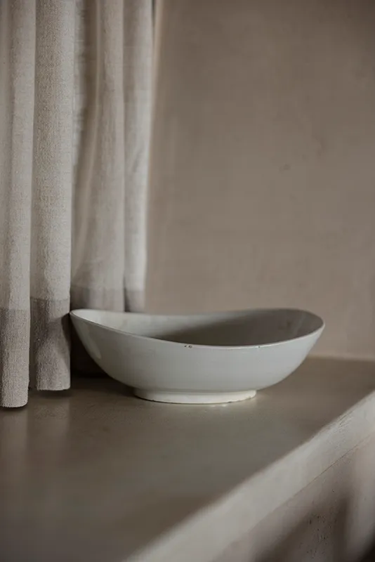 Tomatoes growing on the vine in a garden.