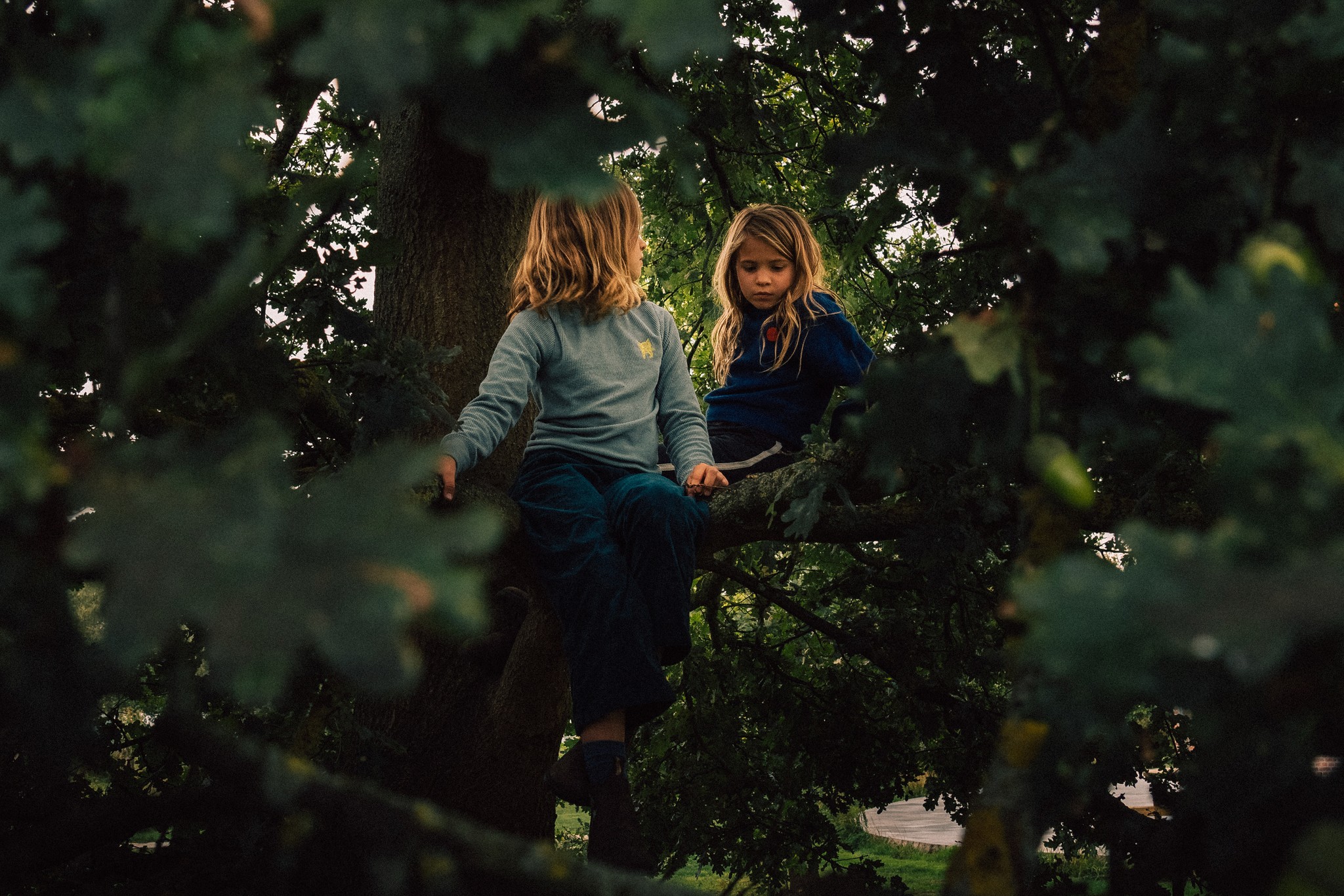 Tree Climbers