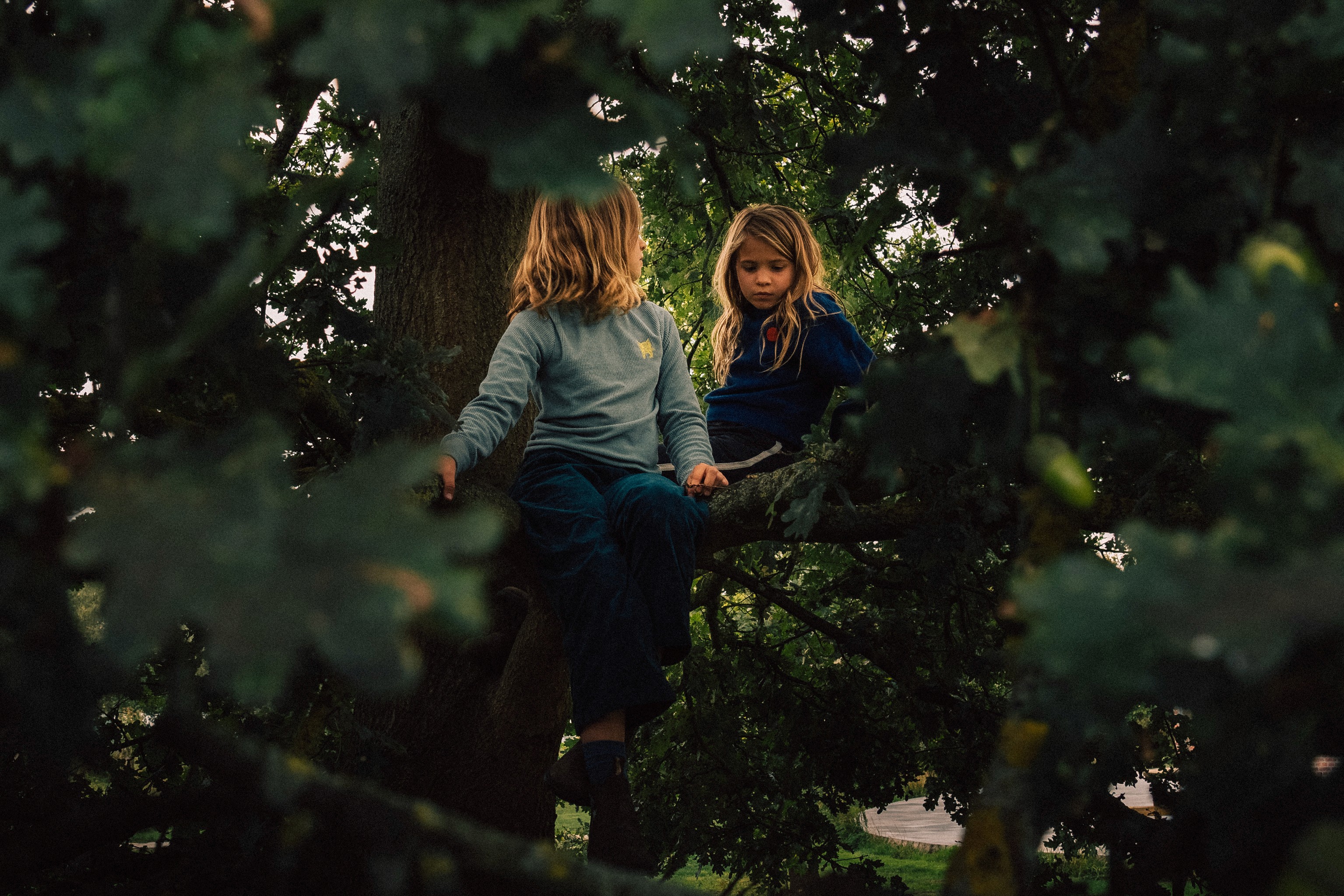 Wolf Children - The Book
