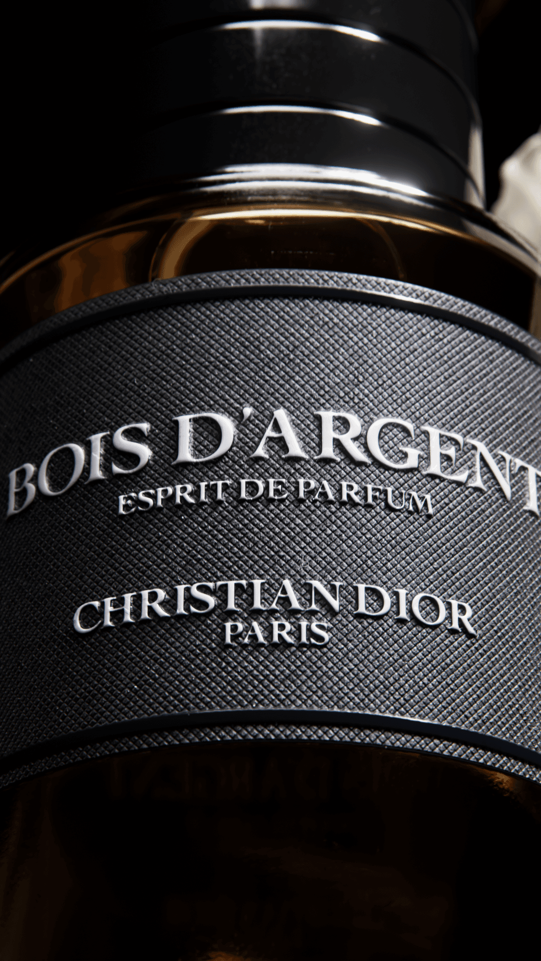 Dior Parfum Lucca Moleta