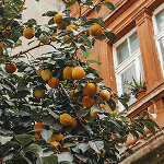 Atsiliepimas apie paslaugas