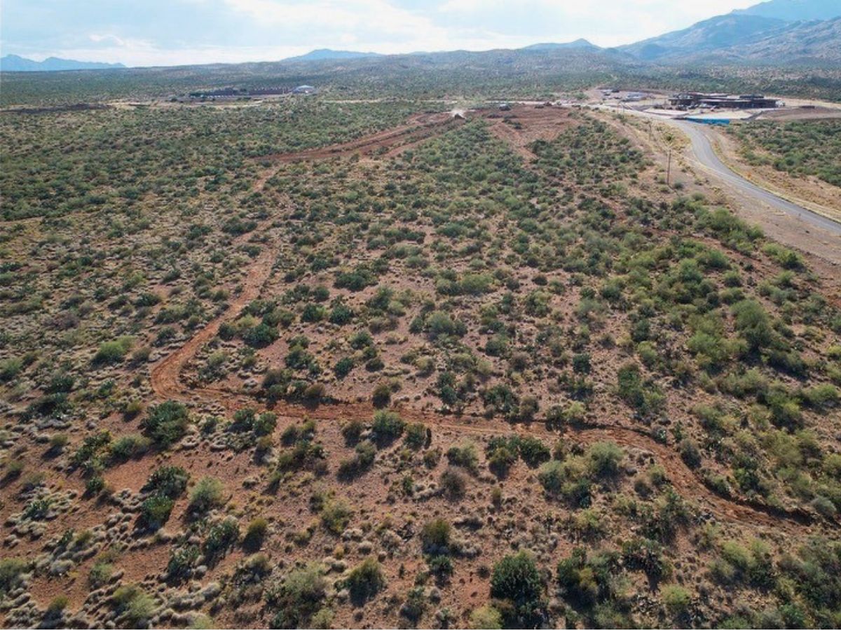 Raw land before site clearing