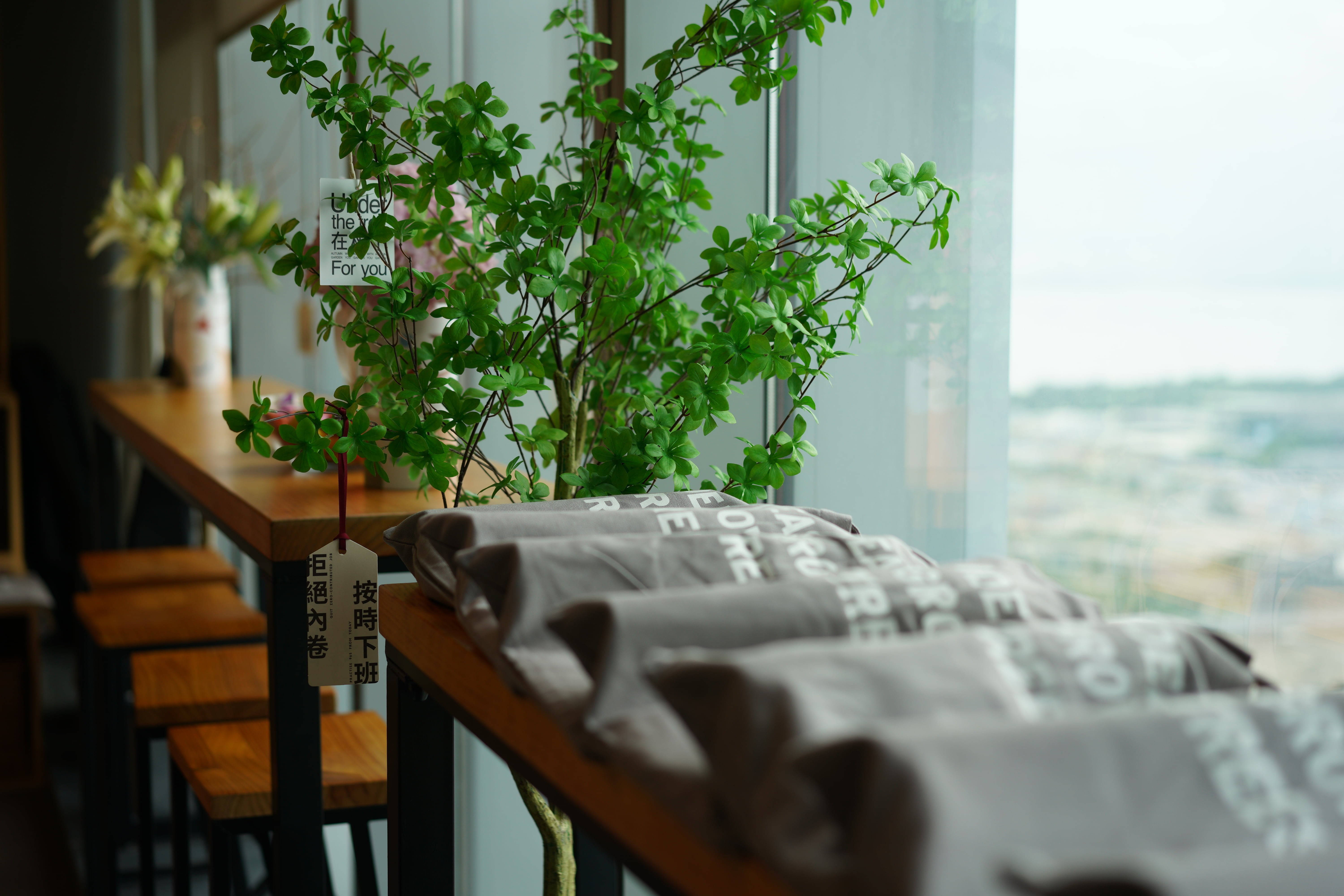 绿树和桌子装饰