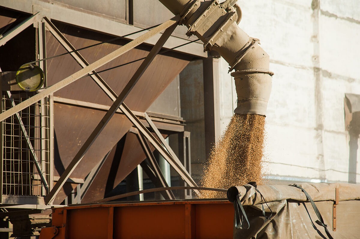 Grain elevator