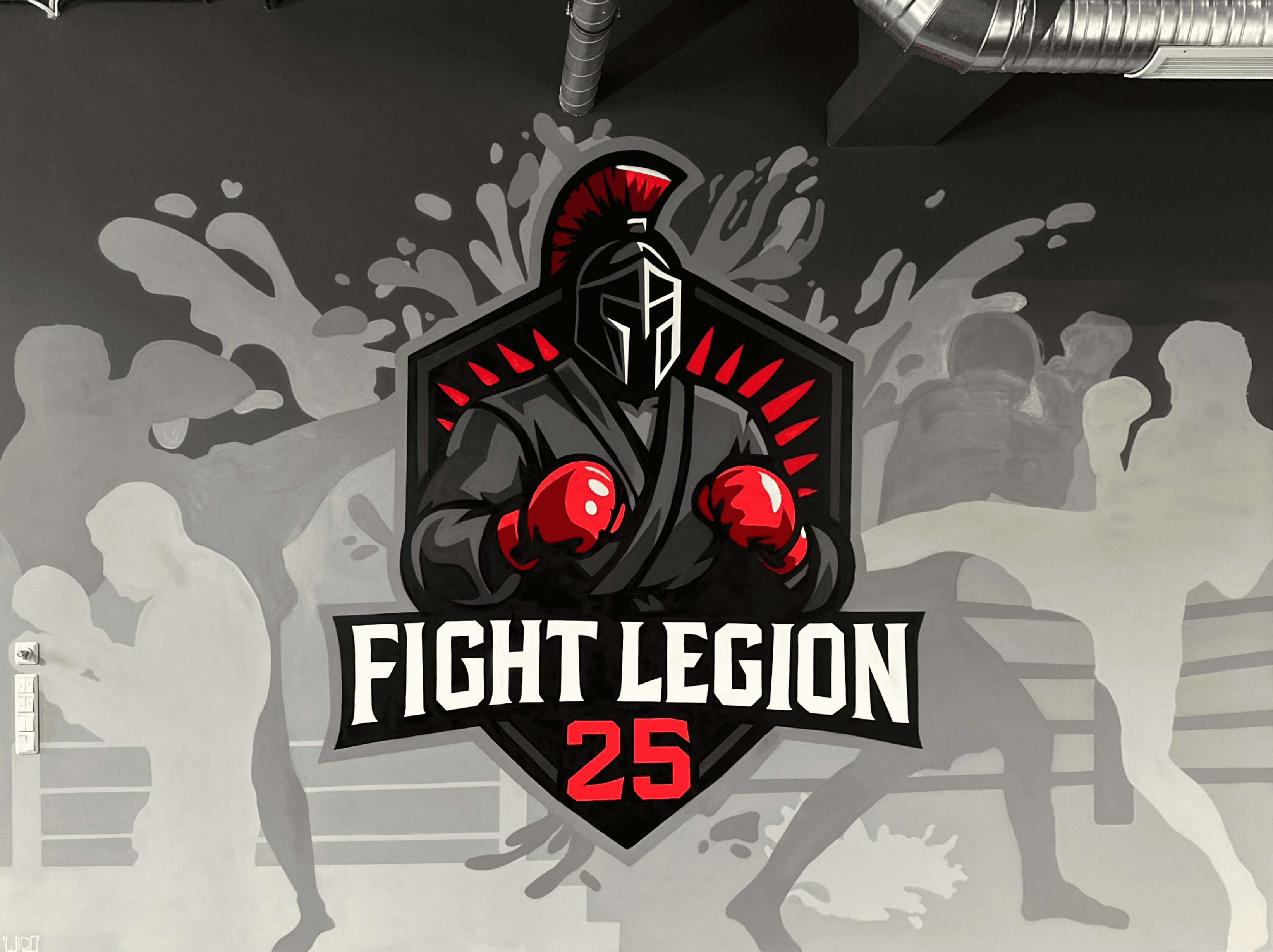 Fight Legion 25 - Bild 1