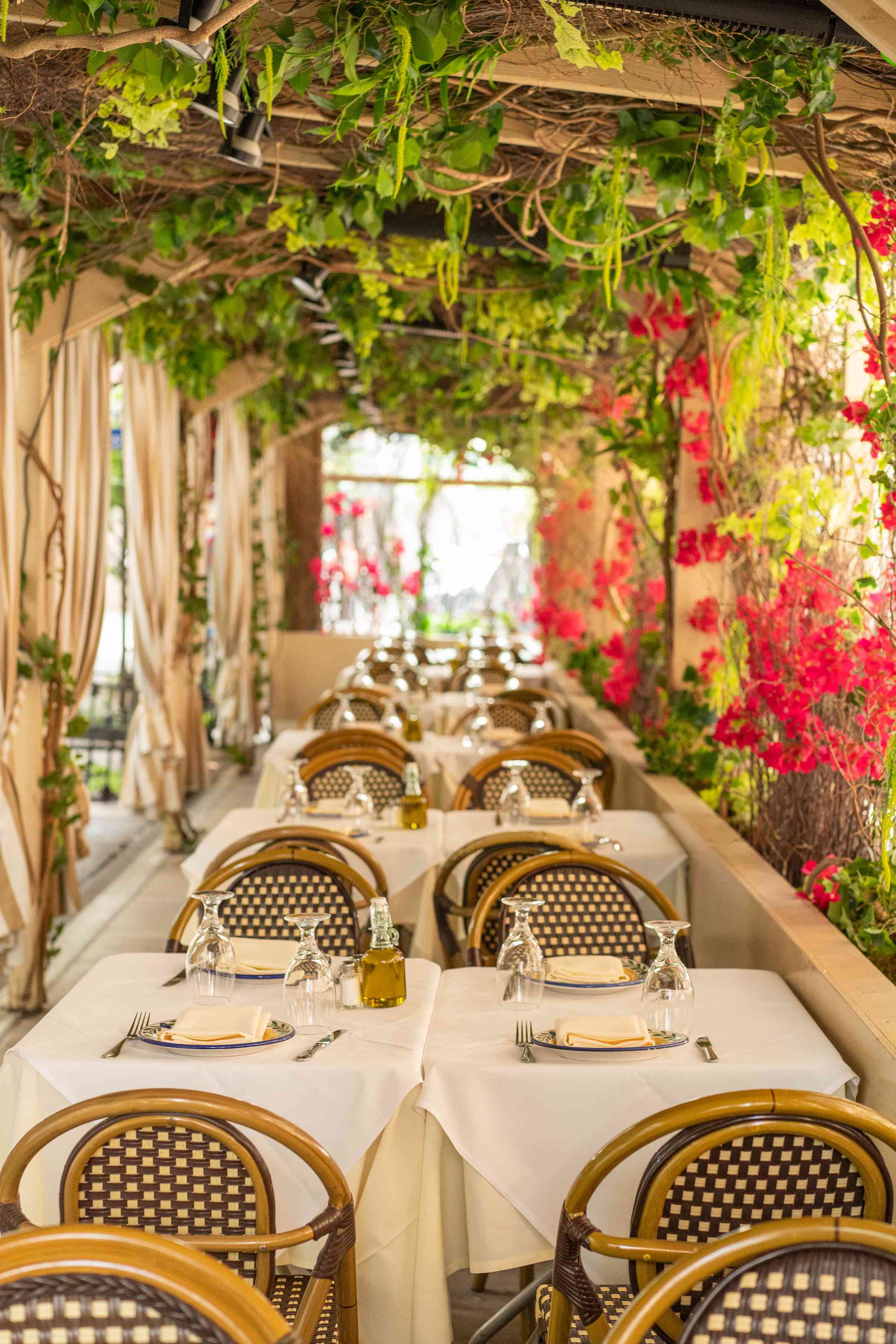 A beautifully decorated dining space with green plants and vibrant floral walls, featuring a long table set for guests.