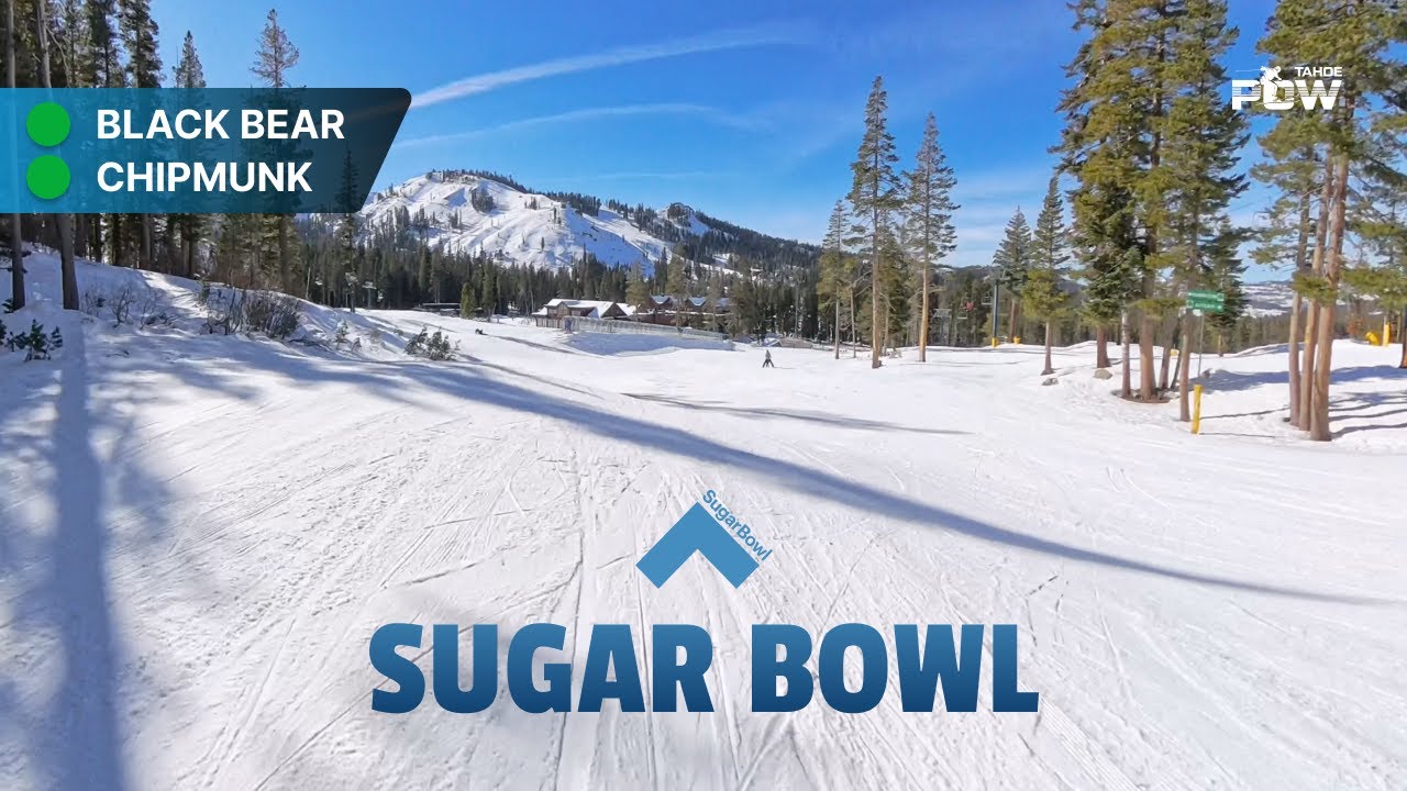 Black Bear to Chipmunk Sugar Bowl – Beginner-Friendly Bliss