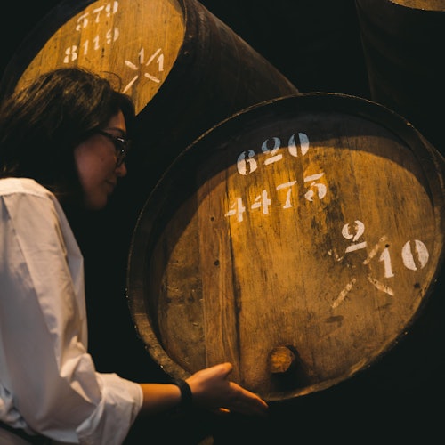 Guided tour of Taylor’s cellars