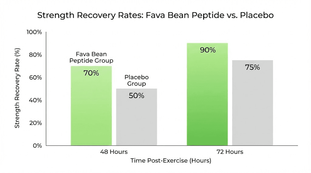 Clinical trial results showing fava bean peptide strength recovery benefits versus placebo