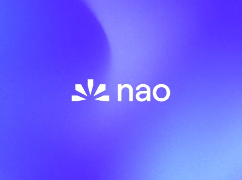 nao project visual