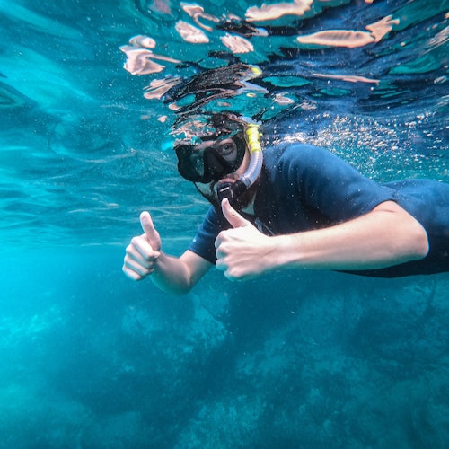 富埃特文图拉:富埃特文图拉导游带领的浮潜之旅 + 往返接送服务门票