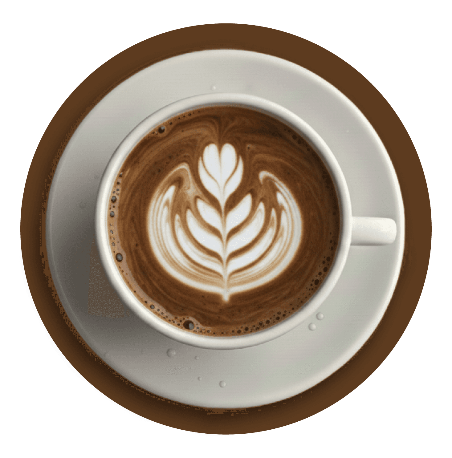 Latte art in a white mug on a saucer.