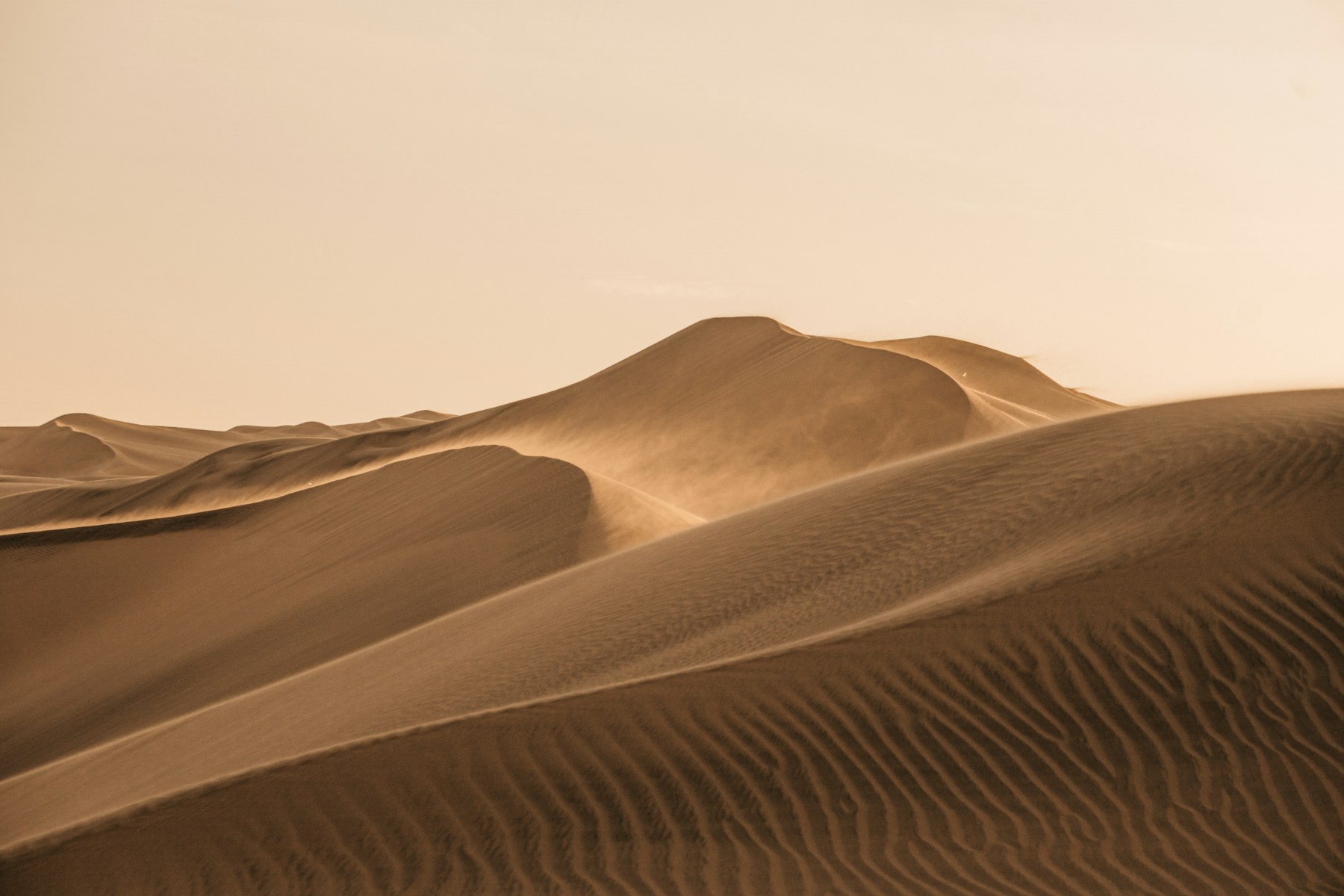 Dune Study