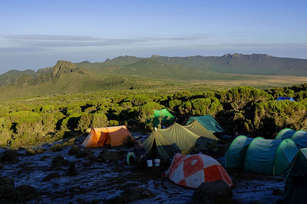 Best Kilimanjaro Tour Operators