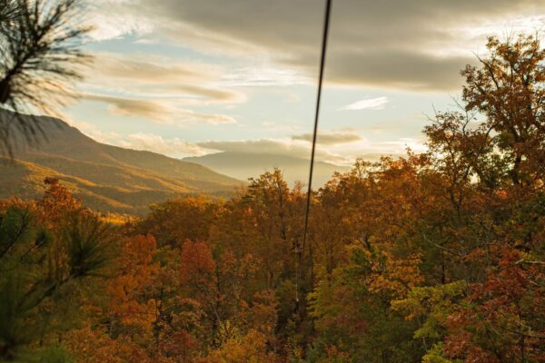 fall in the smoky mountains