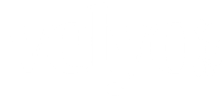 Logo du site "Wechooz" écrit en caractères stylisés de couleur claire, sur un fond blanc.