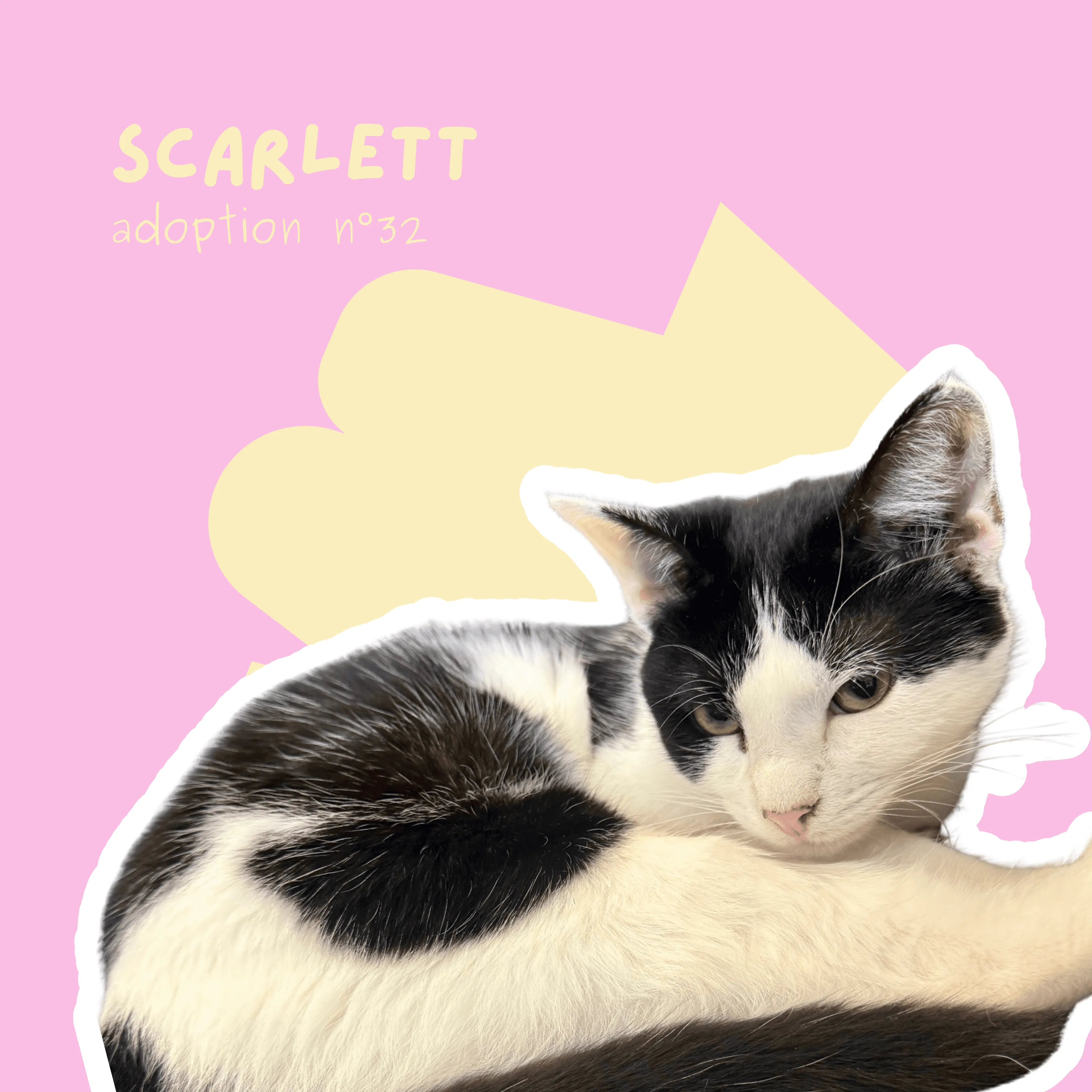 chat-scarlett