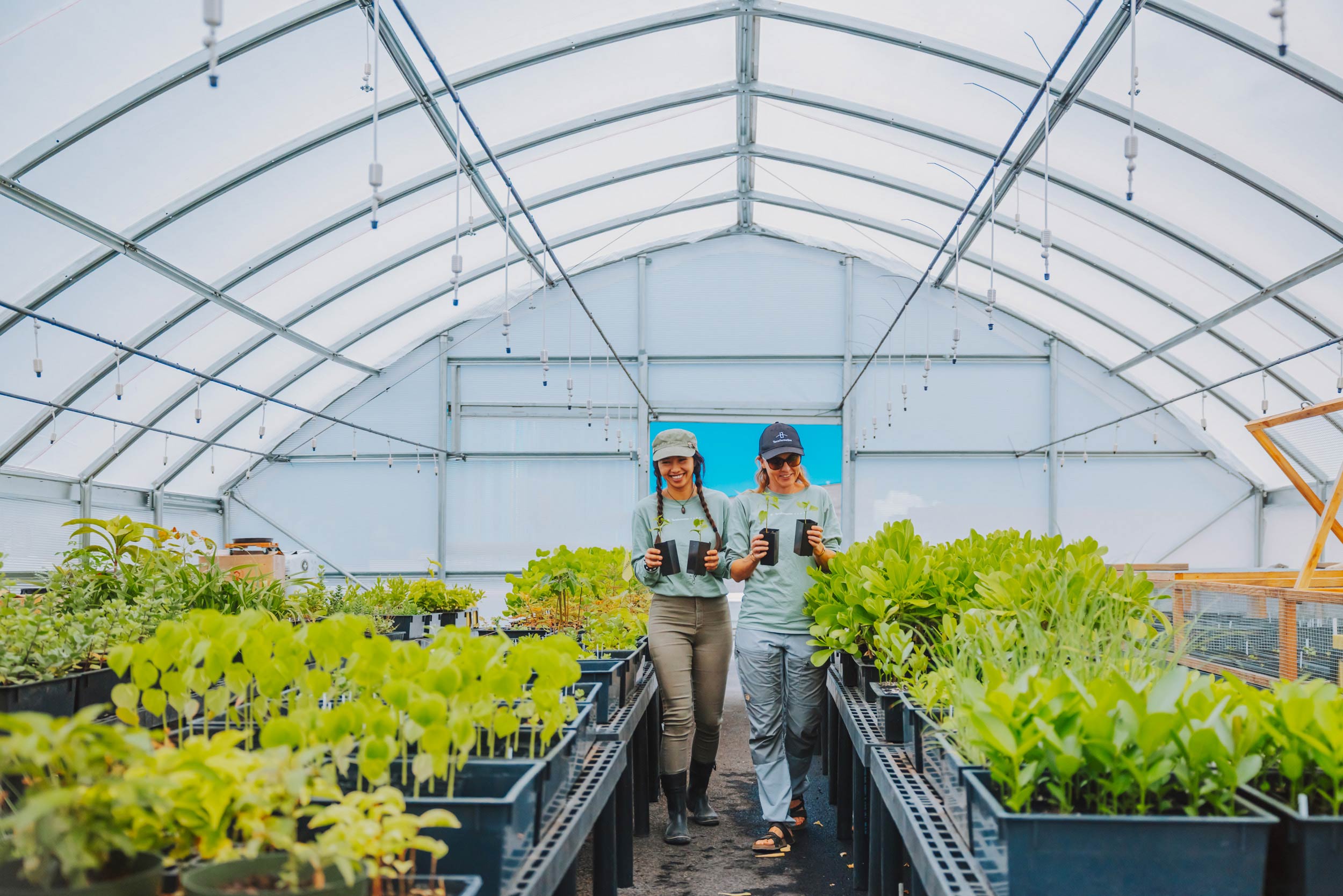 TERRAFORMATION NELHA