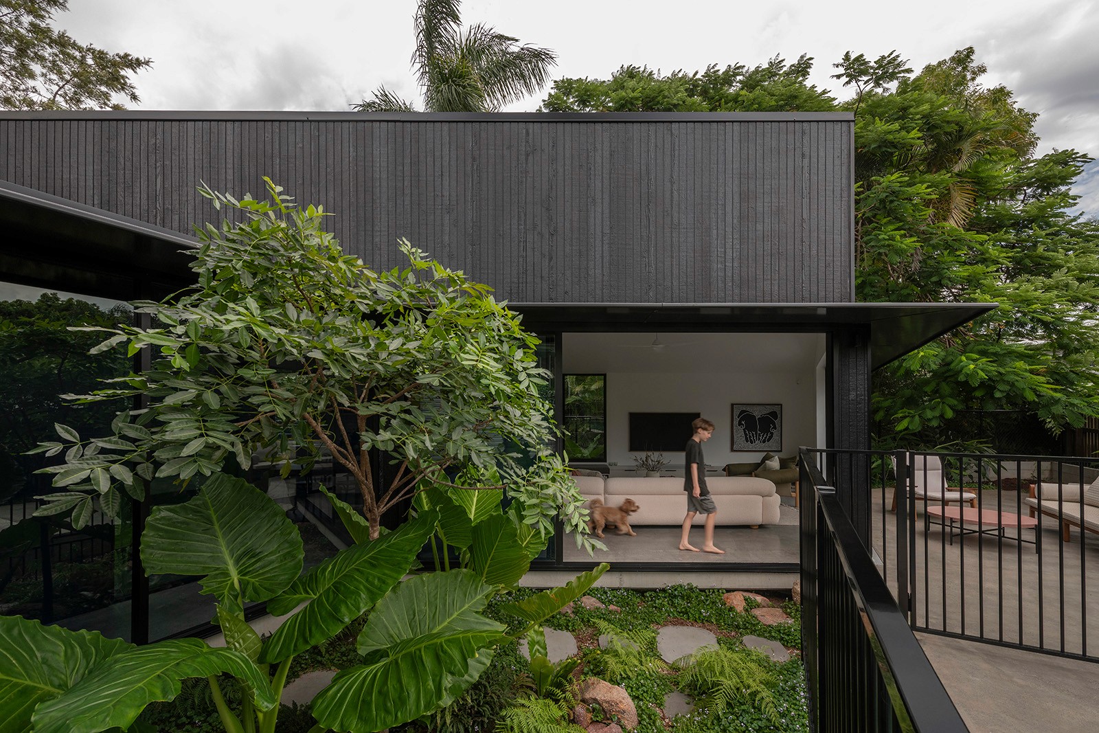 Rear pavilion of Toohey Forest House with black timber cladding, open living area, and landscaped courtyard garden.
