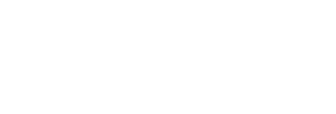 Blue Frontier logo