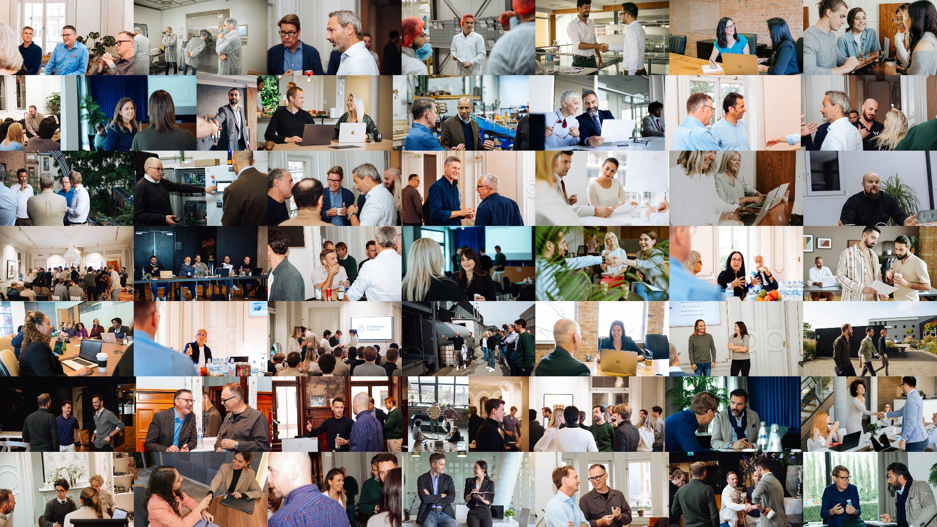 Snow-covered pine trees with sunset light shining through.
