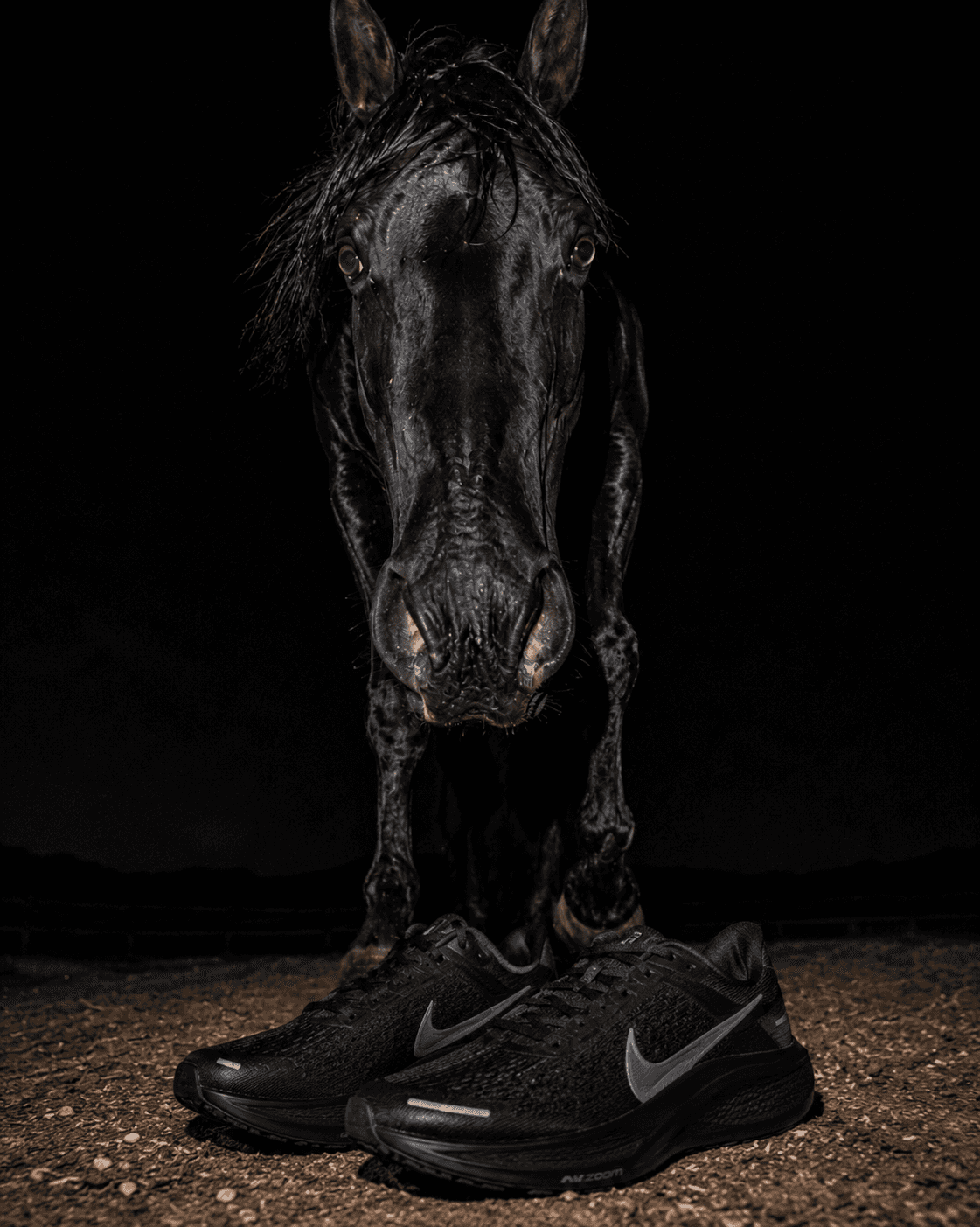 horse and runnning shoes