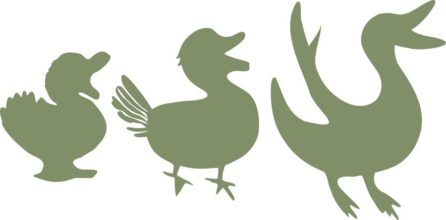 The Singing Duck Studio