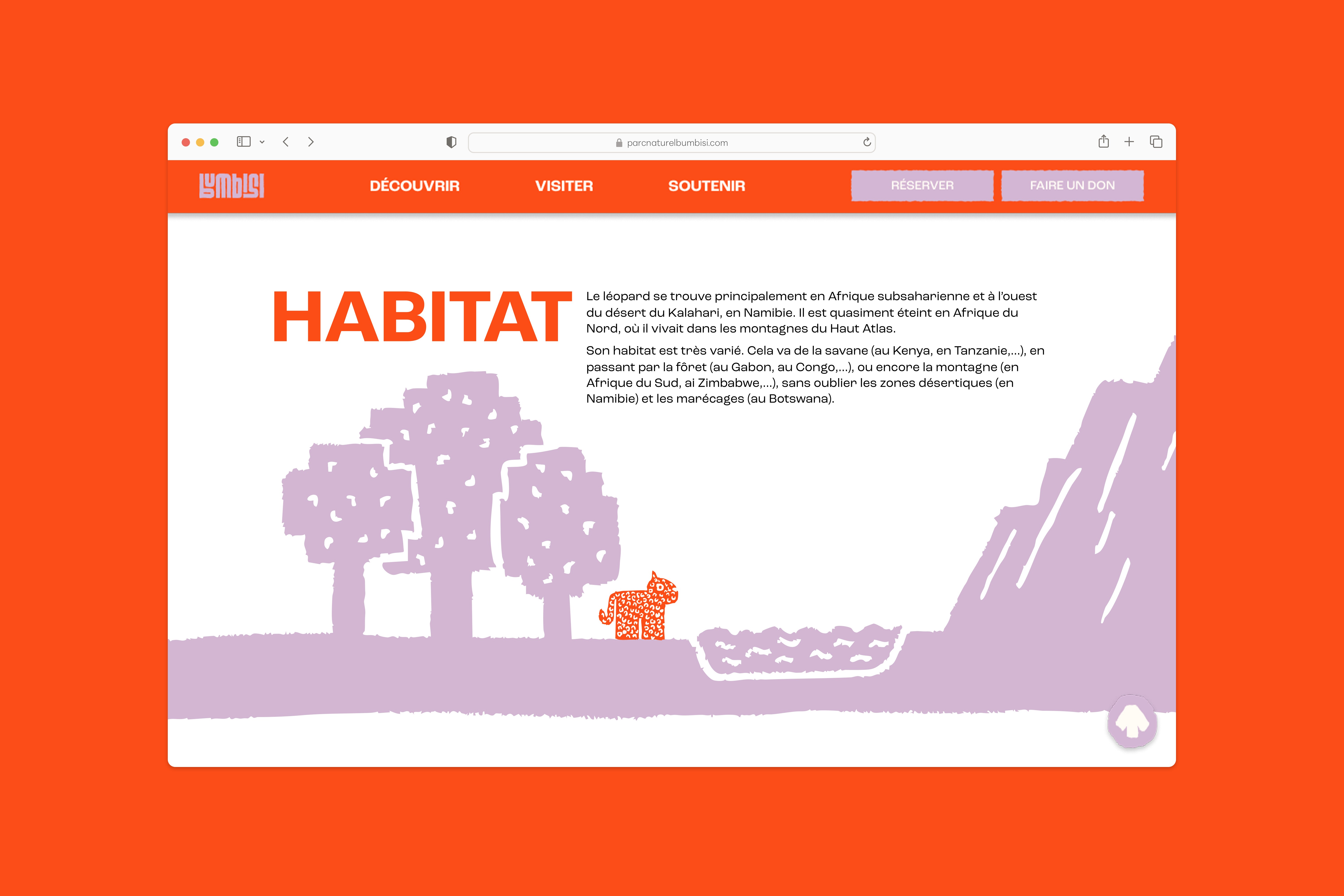 Page sur léopard sur le site