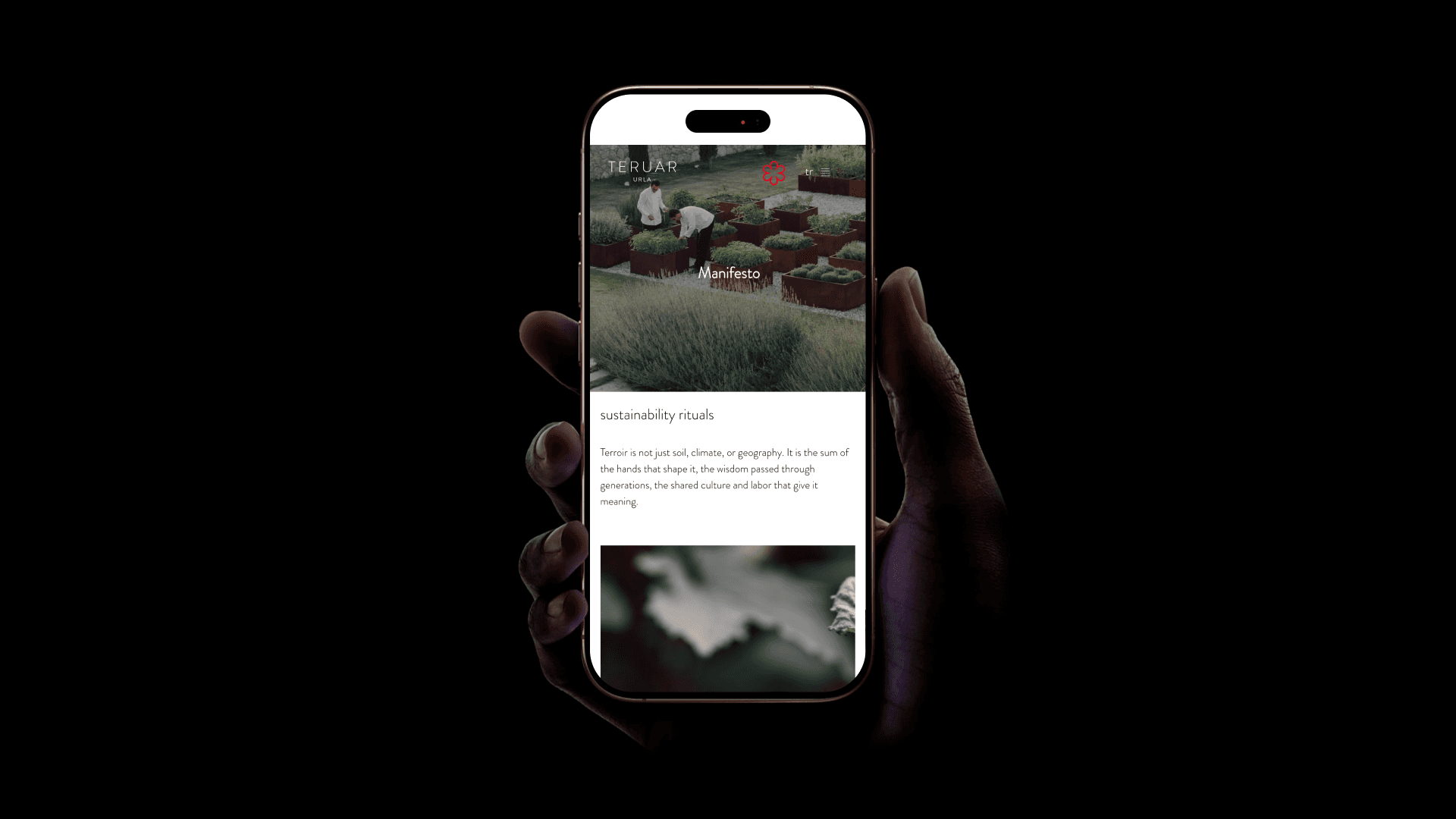 Teruar Sustainability