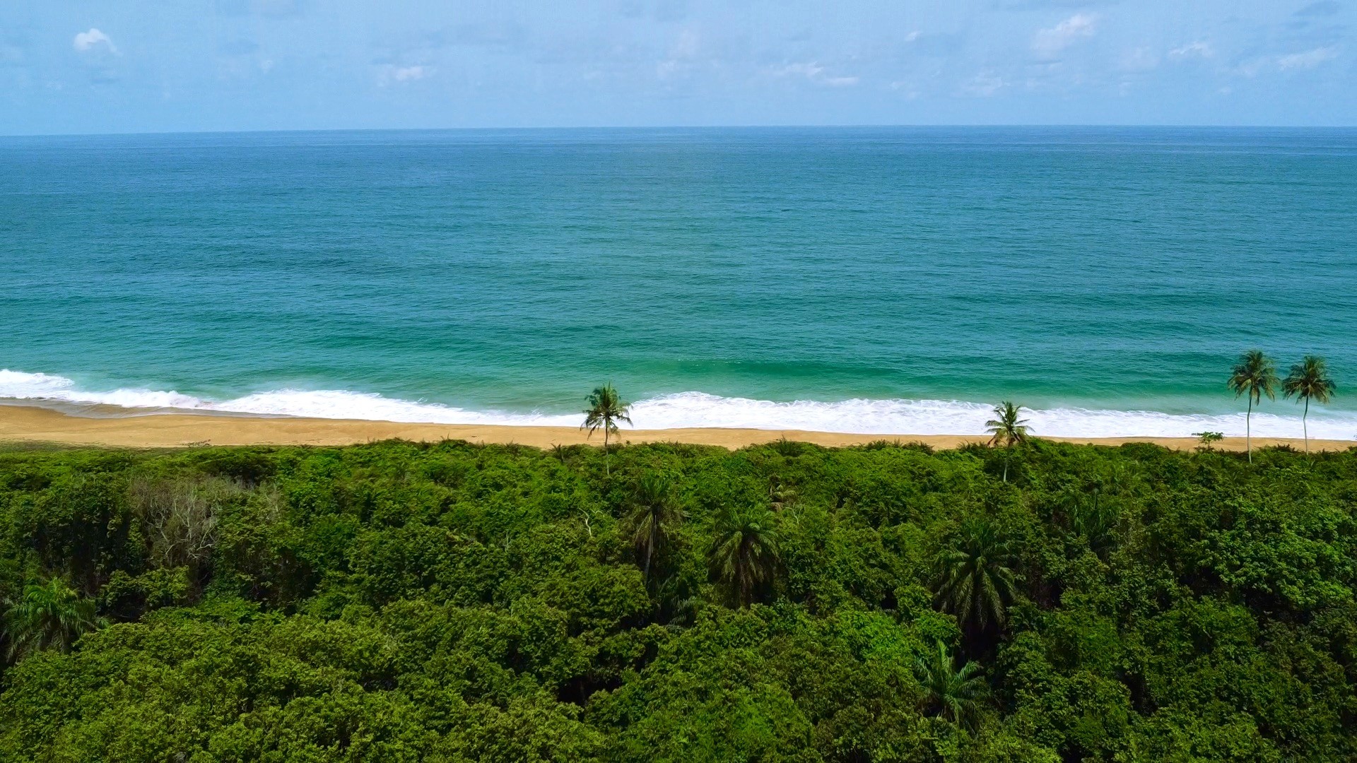 Vue aérienne du lotissement Mani-Bérébi à Grand-Béréby, Côte d'Ivoire, montrant des terrains en bordure de mer et des espaces verts, idéale pour l'achat de terrains et l'investissement immobilier