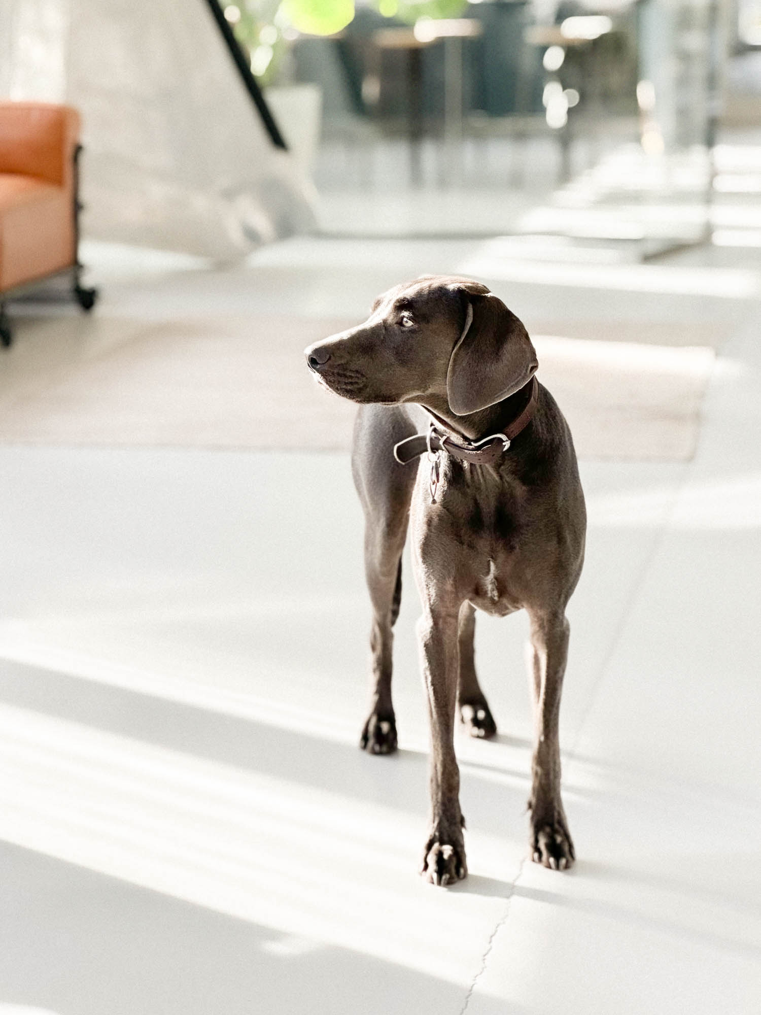 Inbound Production Film Agency