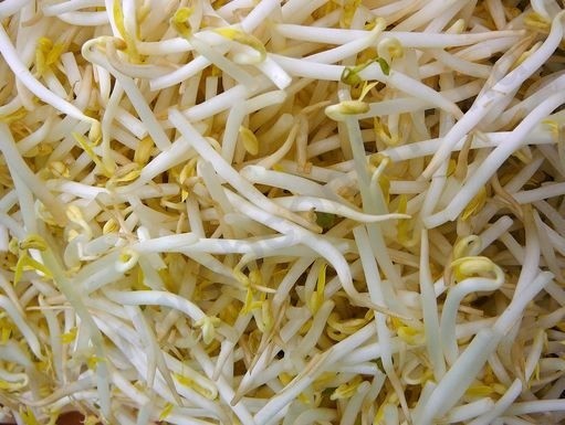 two people looking at a tablet and smiling