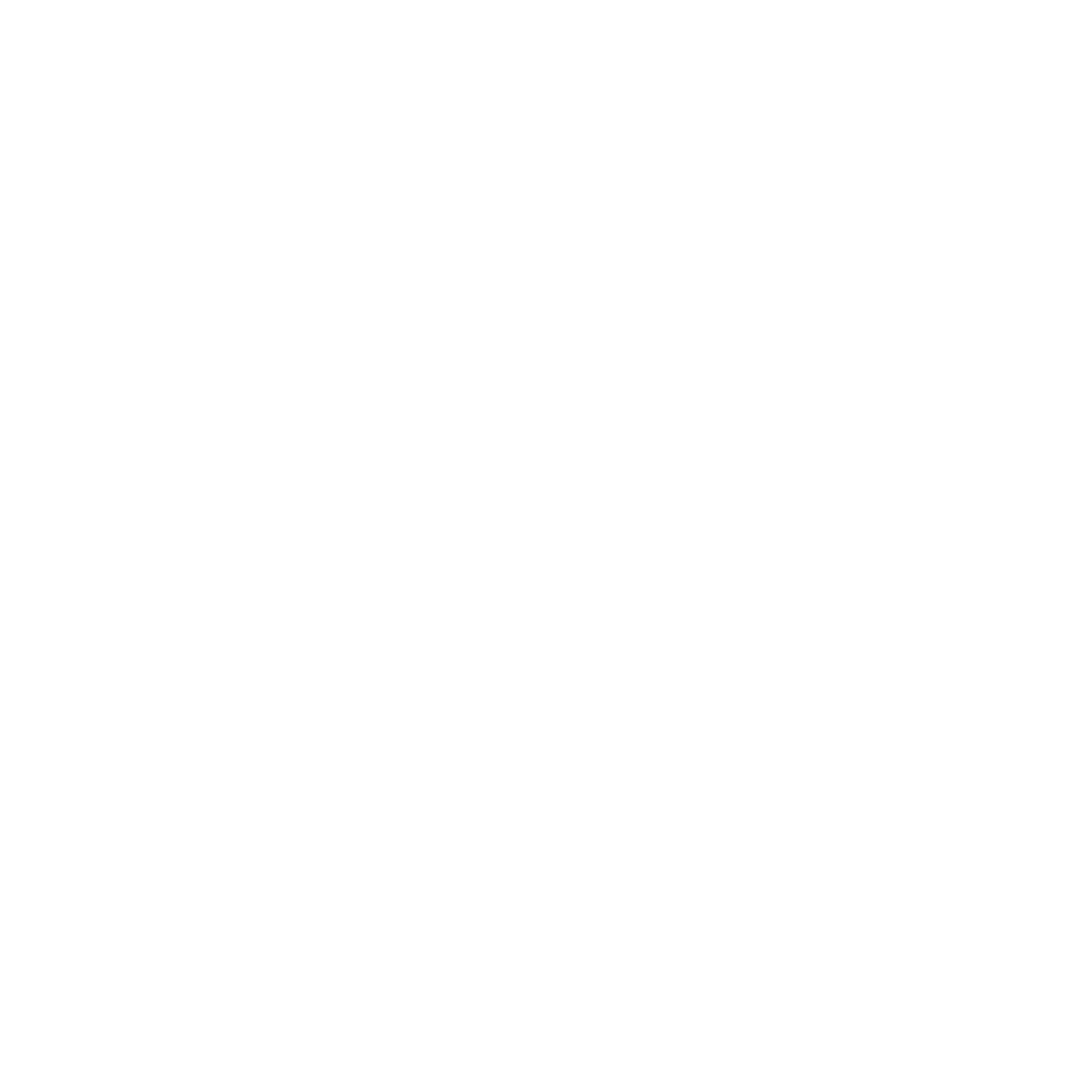 Aer Logo