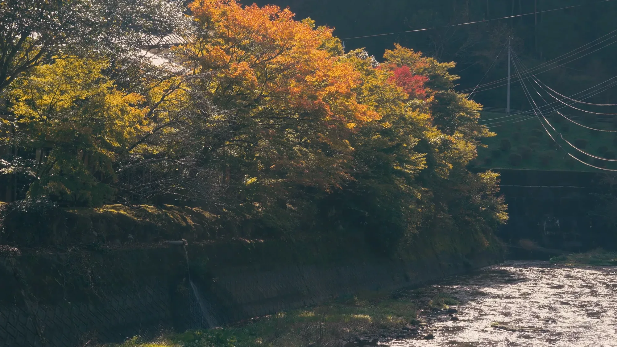 The autumn hillside above the river at Kurokawa Onsen