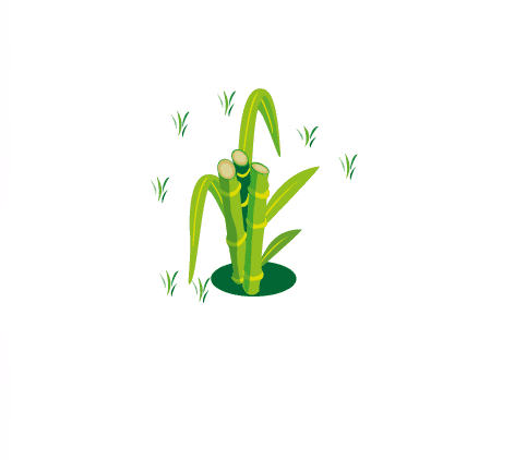 moule-canne-a-sucre-yohel